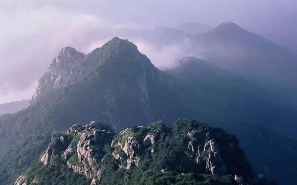 女兒紅茶·悅享/一級(jí)